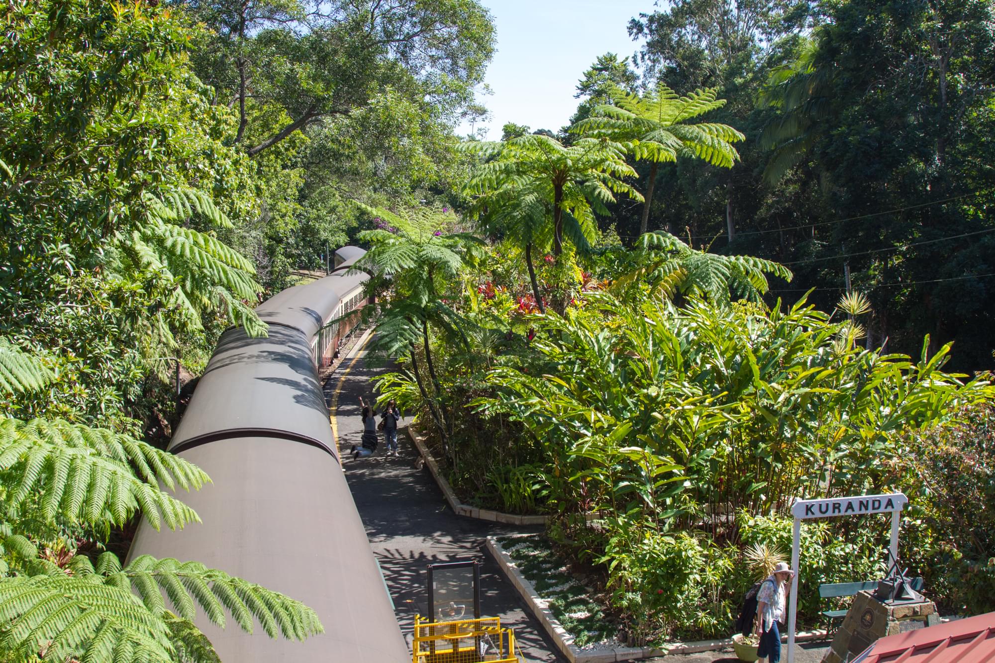 12_20150813   AUS 473   Kuranda